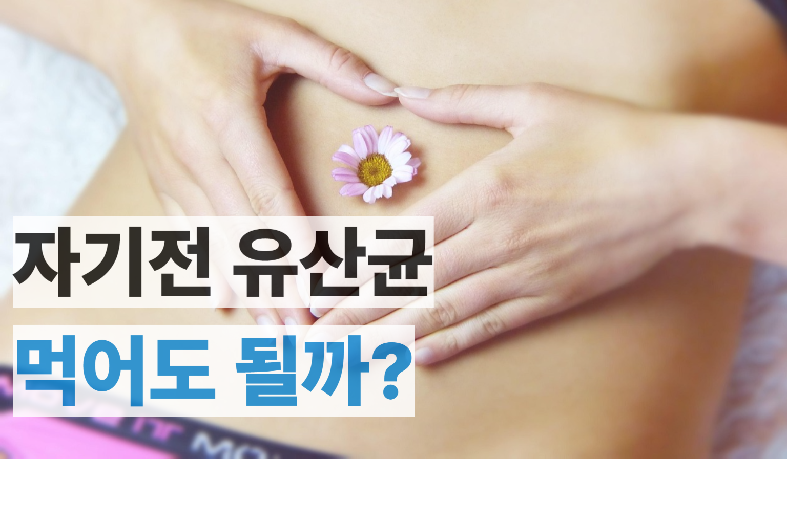 자기 전 유산균 먹어도 괜찮을까? 썸네일