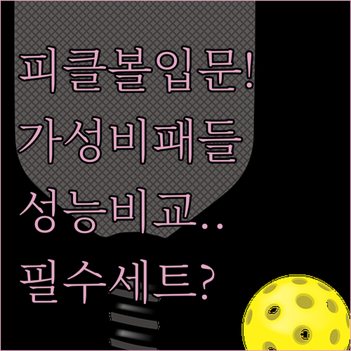 피클볼 입문용 라켓 세트 추천 및 가..