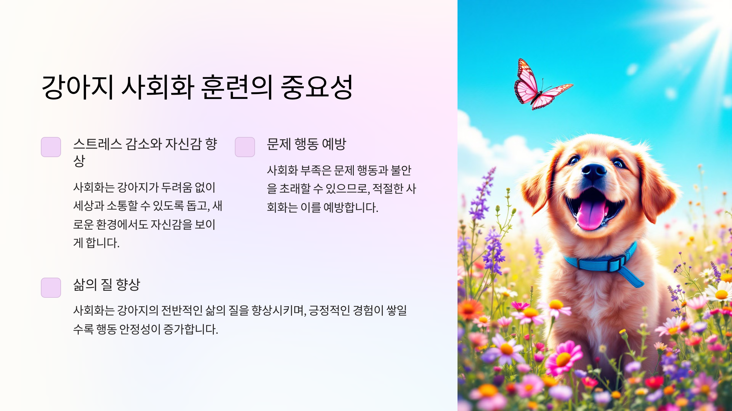 강아지 사회화 훈련이 중요한 이유