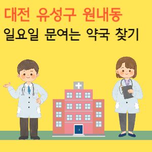 대전 유성구 원내동 일요일 문여는 약국 찾기
