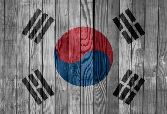 2·28 민주운동의 역사와 배경, 민주주의 투쟁