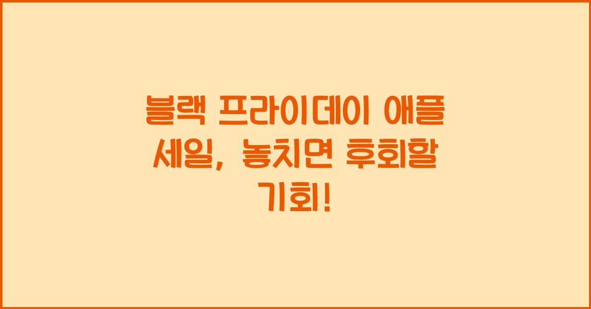 블랙 프라이데이 애플
