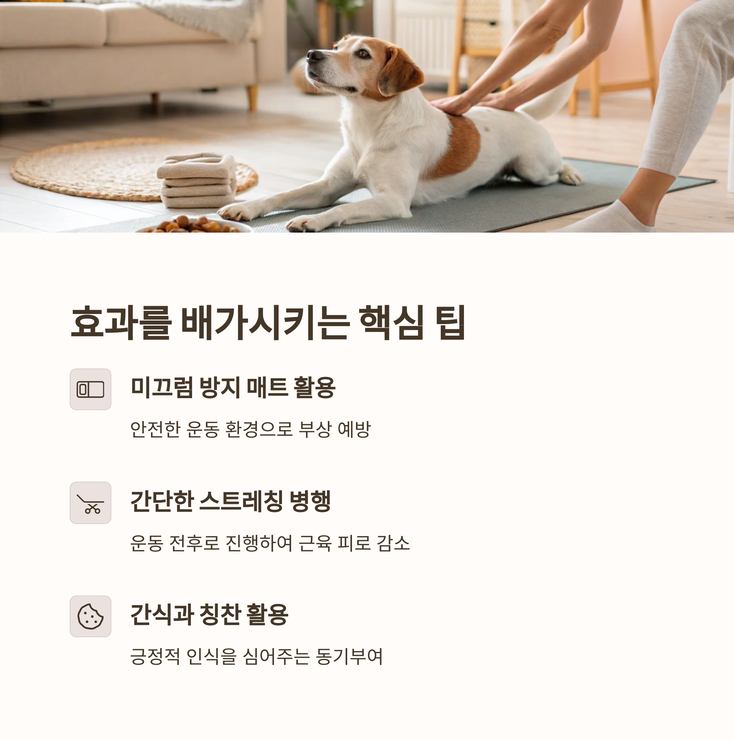 효과를 배가시키는 핵심 팁