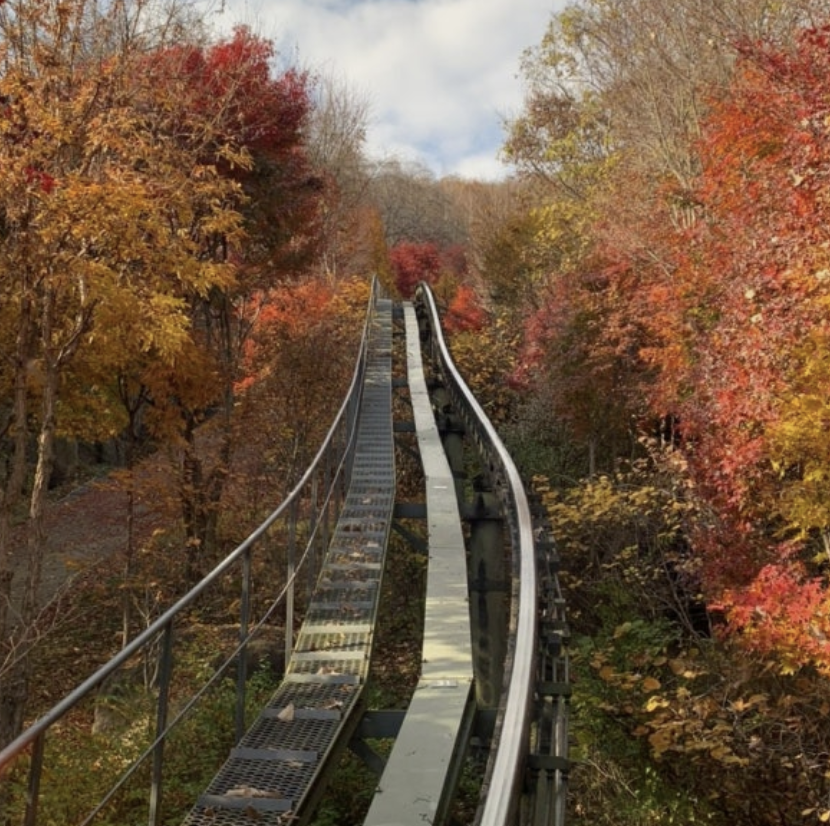 화담숲 예약하기 홈페이지 입장료 주변 맛집 모노레일 단풍 절정시기 꿀팁
