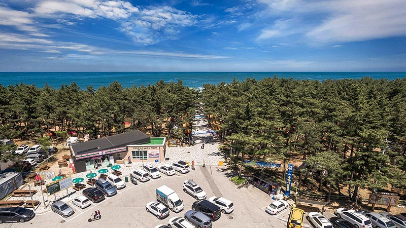 혼자 떠나는 강릉 캠핑 준비