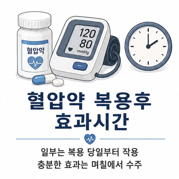 혈압약과 혈압계, 시계를 이용해 혈압약은 복용 당일부터 작용할 수 있지만 충분한 효과에는 며칠에서 수주가 걸릴 수 있음을 보여 주는 그림