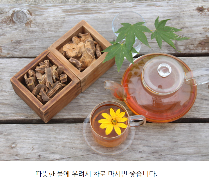 돼지감자차 효능 부작용 판매처