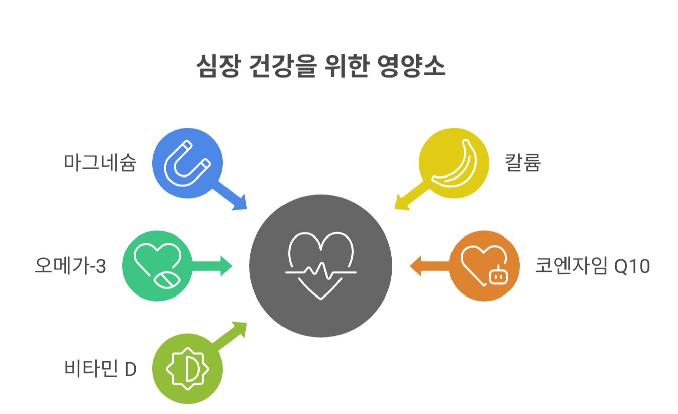 심장에 좋은 영양소 BEST 5