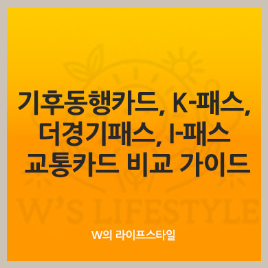 기후동행카드, K-패스, 더경기패스, I-패스 교통카드 비교 가이드