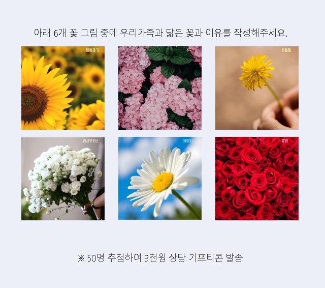 부산가족축제 이벤트 행사 내용