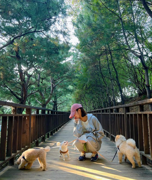 임수향 배우&#44; 미녀와 순정남 임수향&#44; 임수향 알아보기