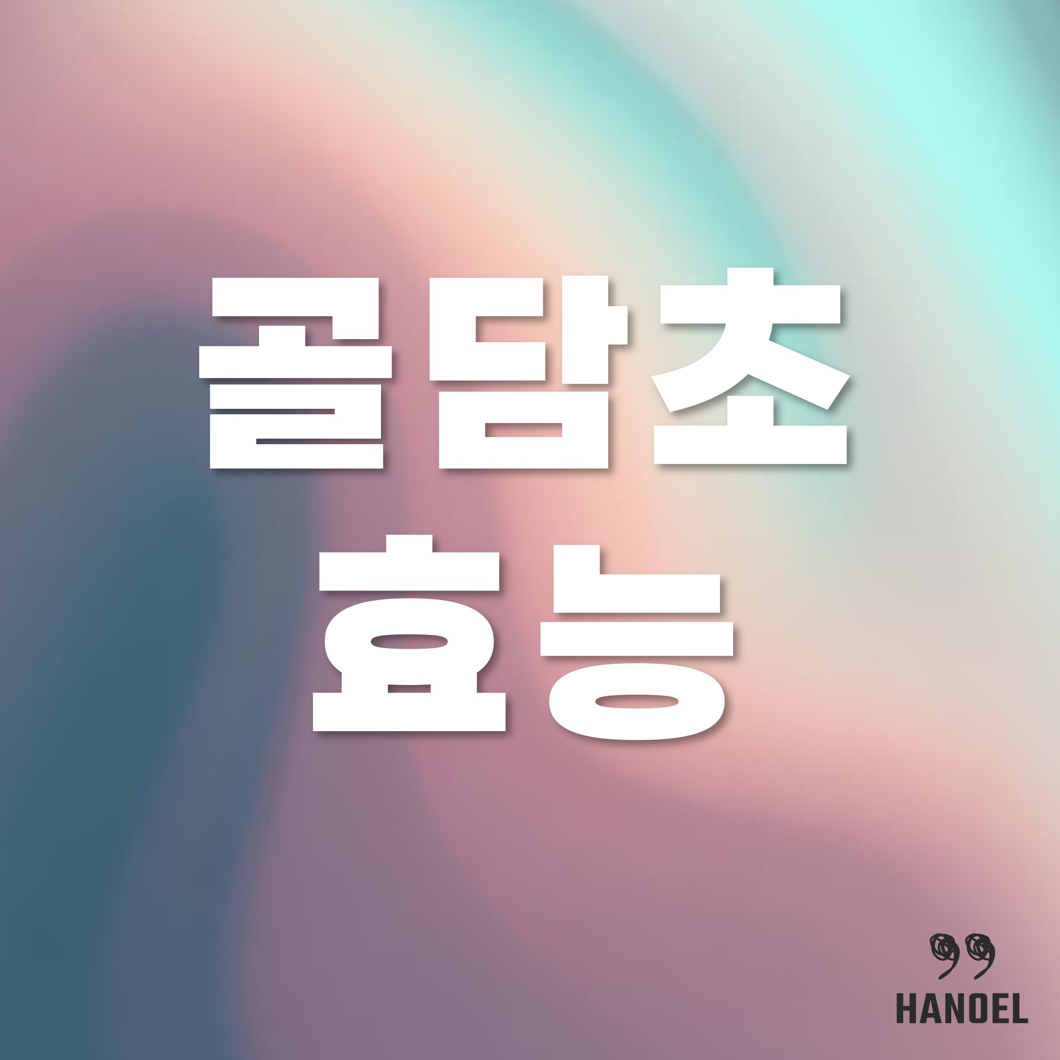 골담초 효능