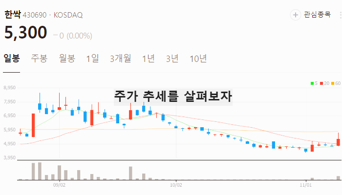 디도스 관련주 대장주 테마주 TOP5 : 사이버 전쟁
