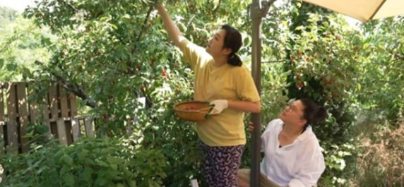 이수지 전세사기