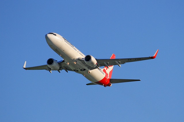 737-800 항공기