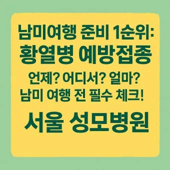 남미 황열병 예방접종 후기 경험과 준비사항_24