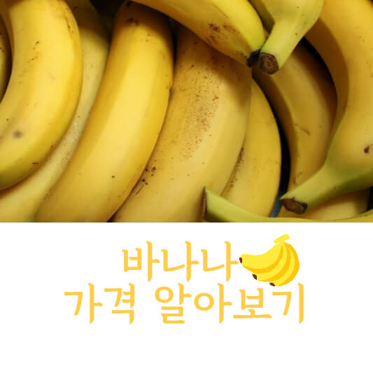 바나나가격