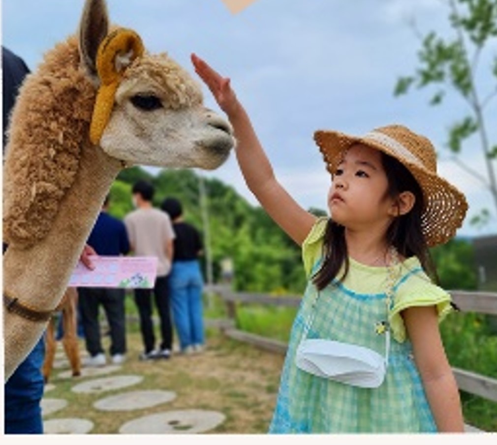 어린이날 가볼만한 곳 여행지 추천