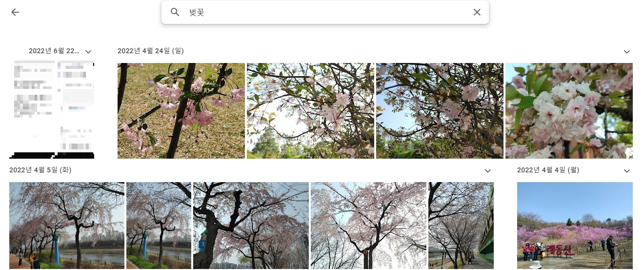 구글 포토의 지우개 매직 기능