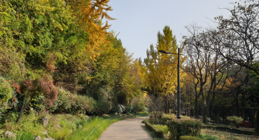 남산 단풍길