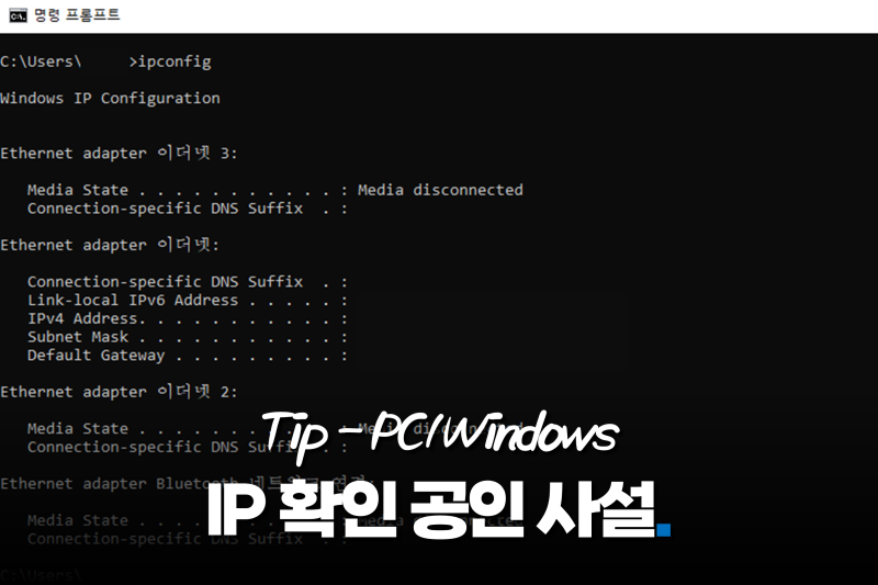 ip주소 확인하기