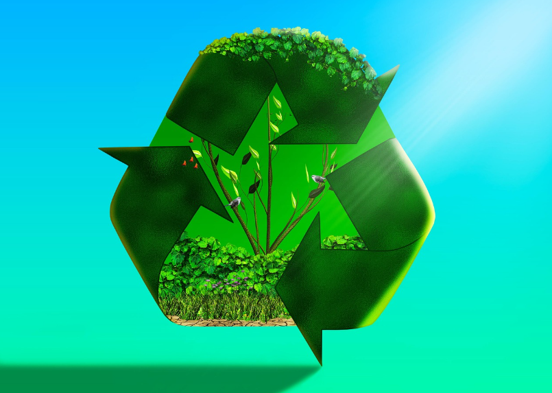 재활용 관련 사진