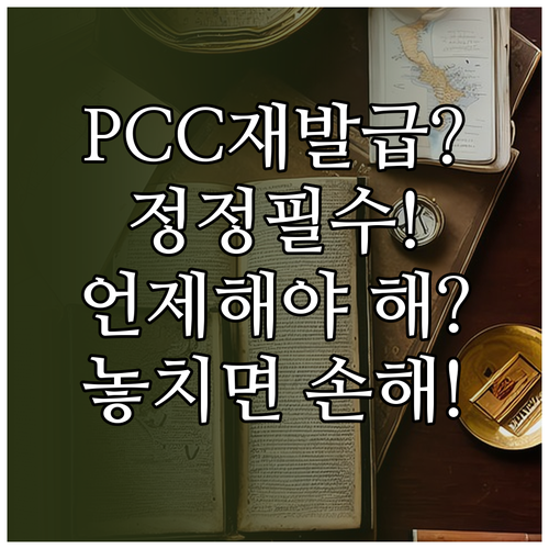 PCC 정정 재발급 언제 어떻게 해야..
