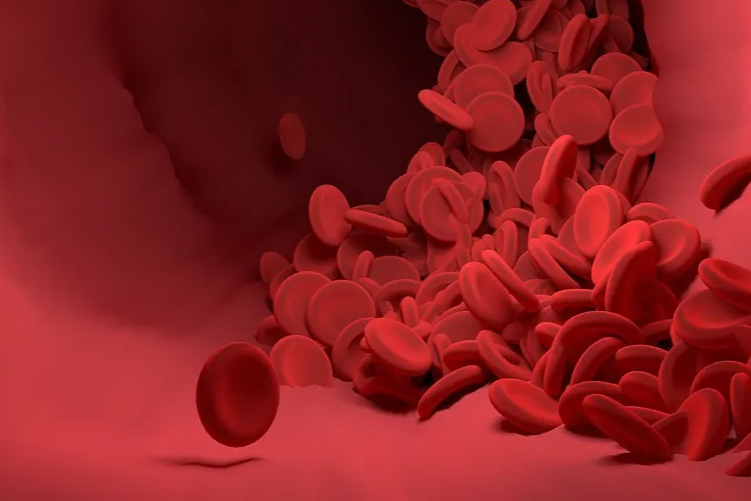 폴리코사놀의 효능