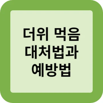 더위 먹었을 때의 대처법과 예방법 썸네일