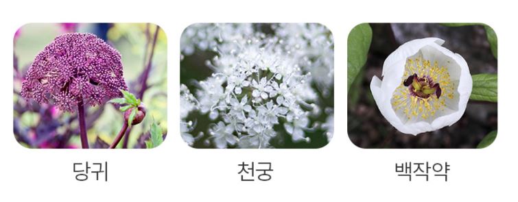헤모힘-성분