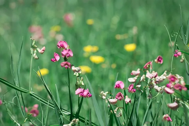 겉절이 맛있게 담그는 법 겉절이 김치 황금 레시피_6