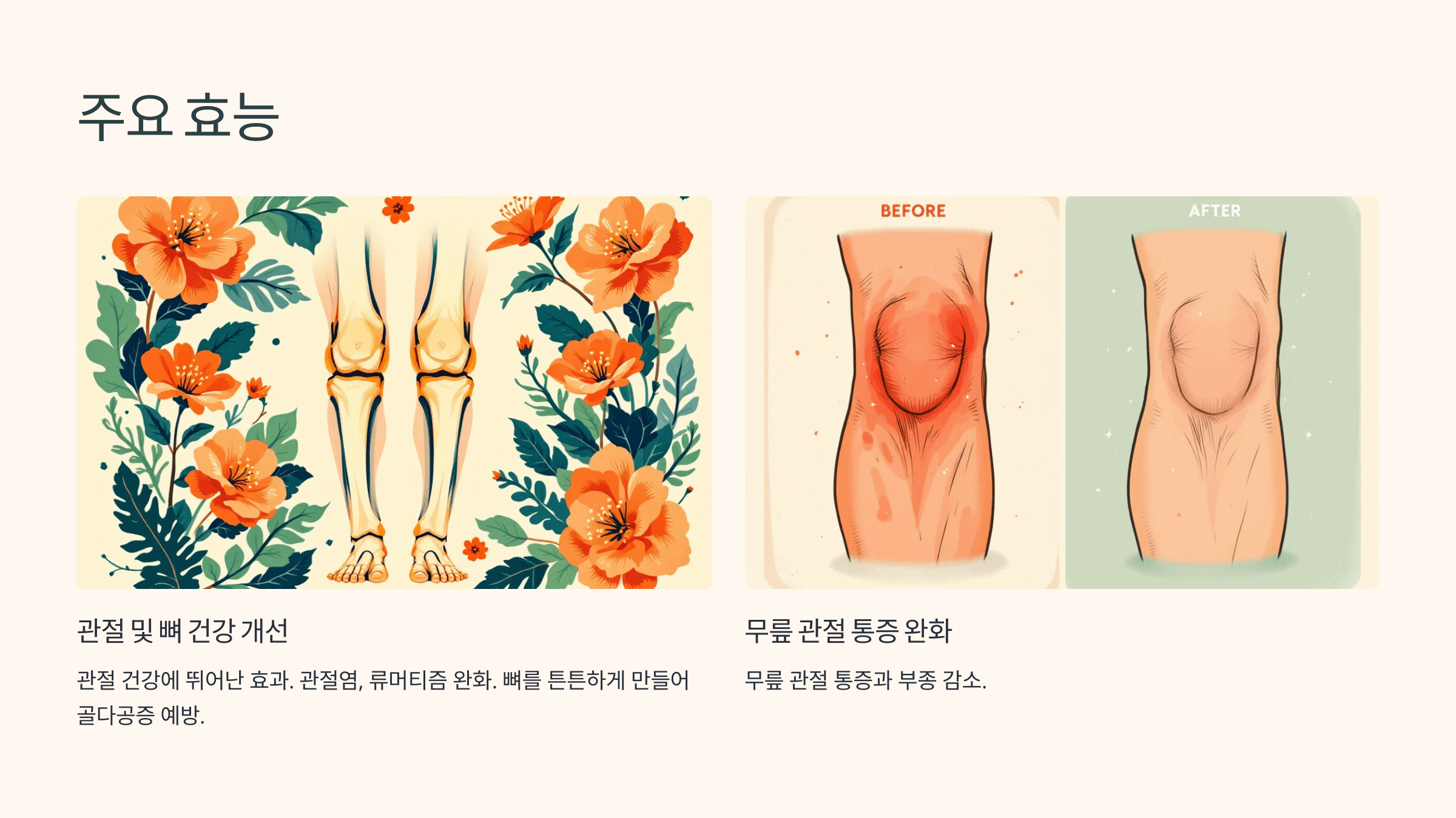 우슬뿌리와 관련된 사진입니다.