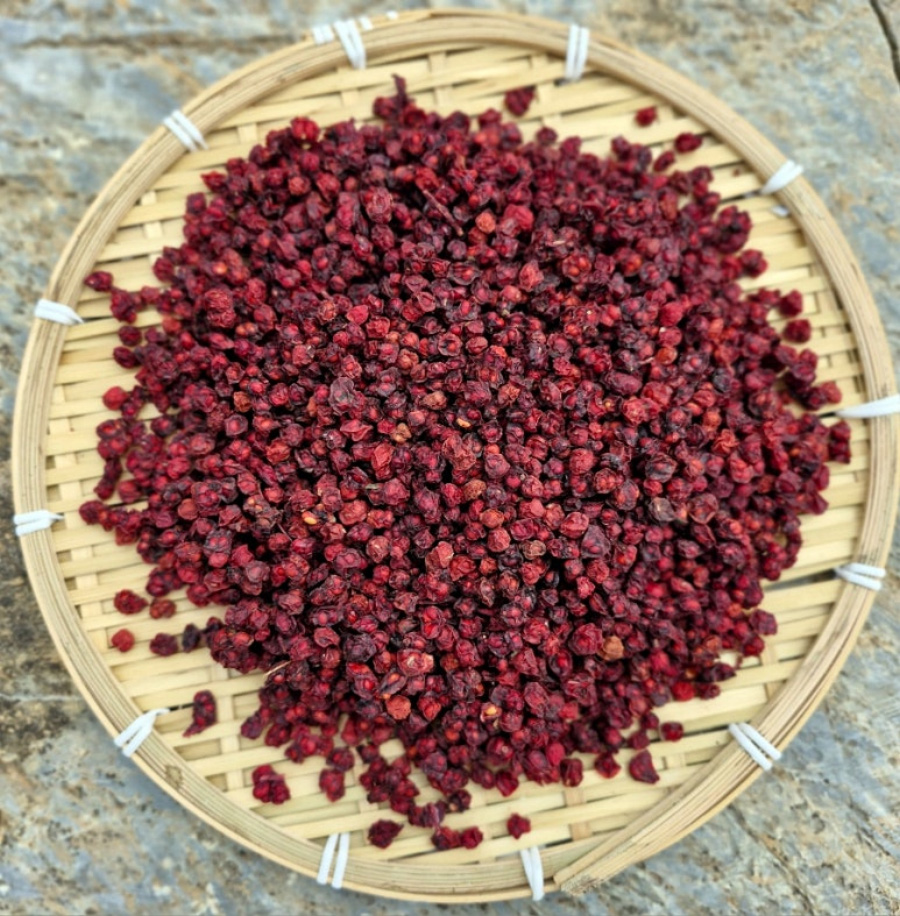 야생에서 채취를 한 오미자를 깨끗하게 세척한 후에 바닥 위에 대나무로 만든 동그란 깔판 위에 수북하게 놓아두고 건조를 시키고 있는 것을 찍은 사진