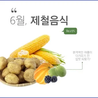 여름 준비는 건강한 식탁에서 6월 제철 음식 리스트 완벽 총정리_7