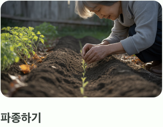 초보자도 OK! 파종과 솎아주기