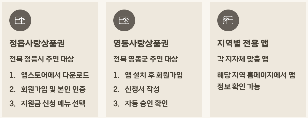 2026년 3차 민생지원금