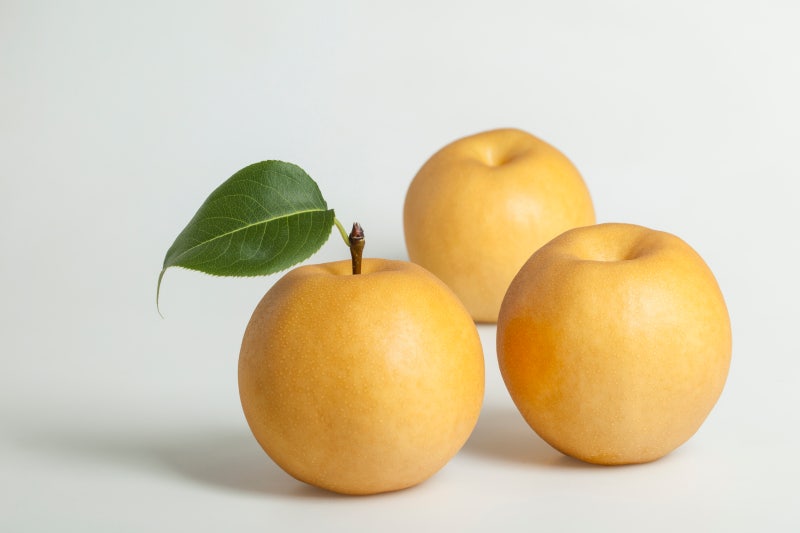 잎이 달려있는 배