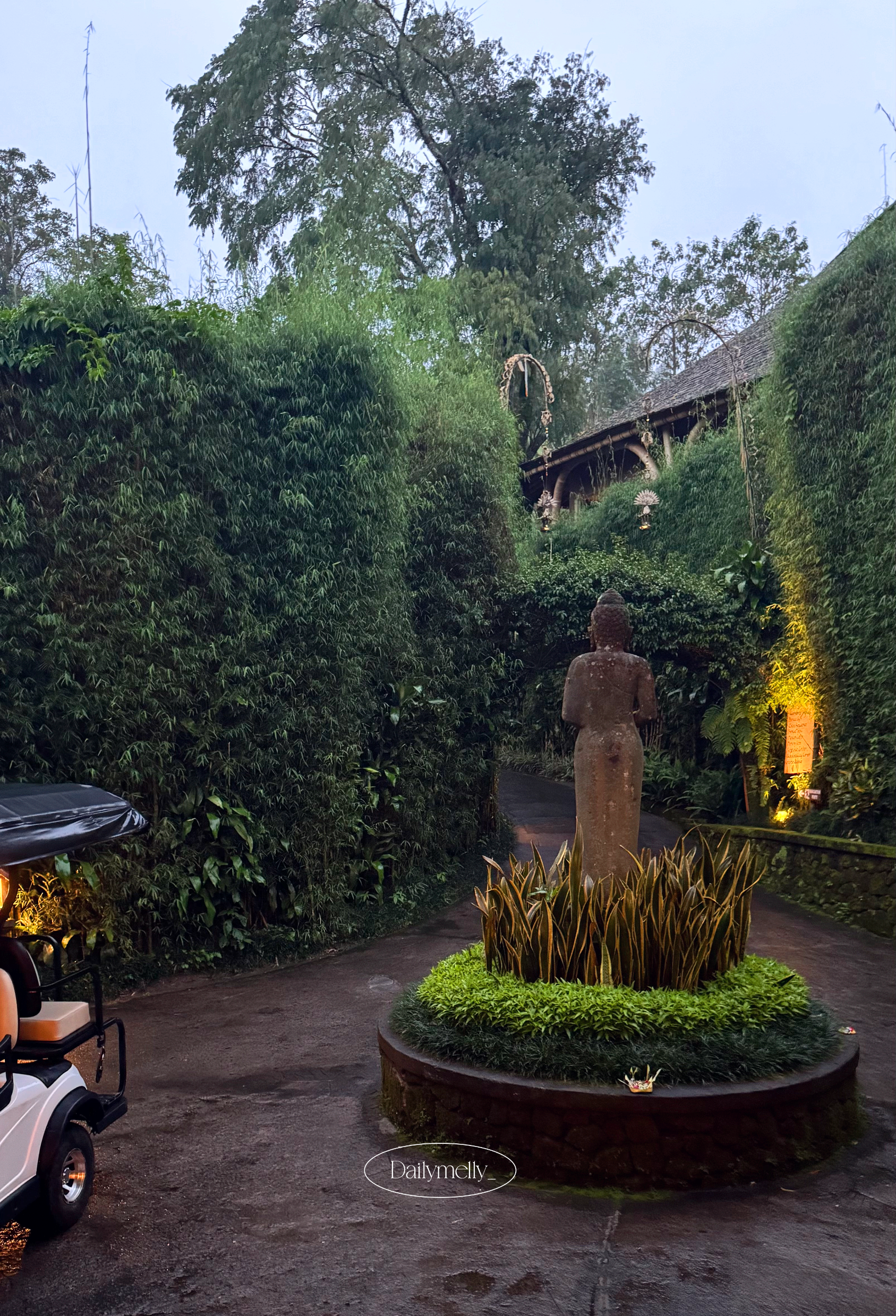 친환경 호텔 추천 - 데일리멜리