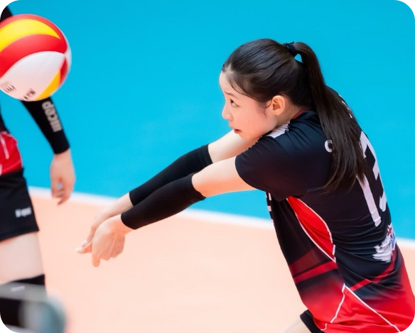 인쿠시관련사진