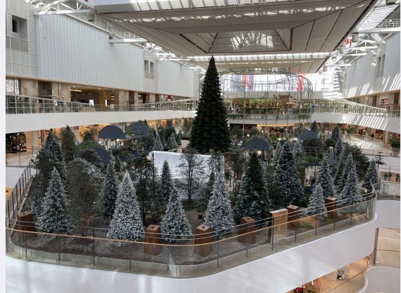 더현대 크리스마스 예약