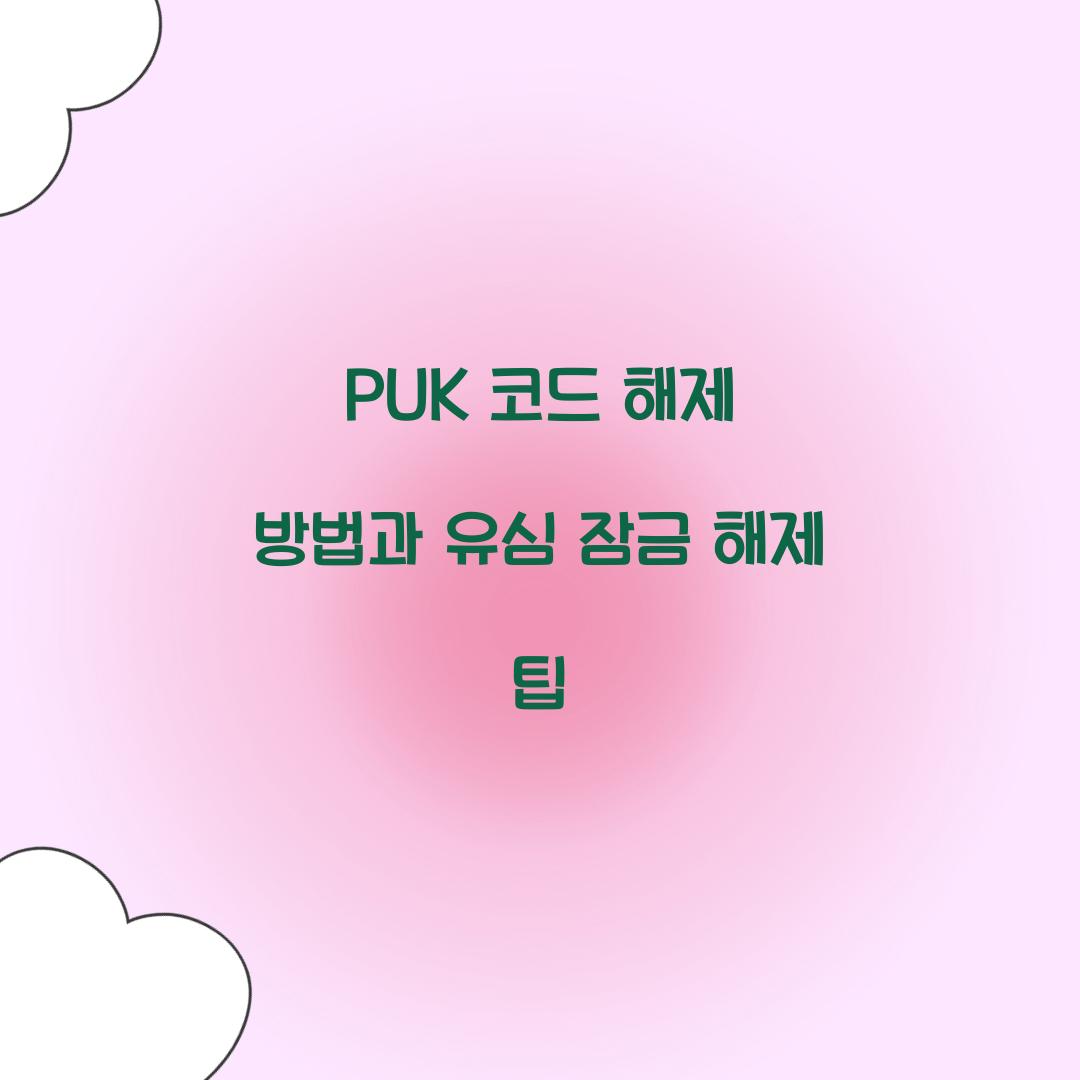 PUK 코드 해제 방법
