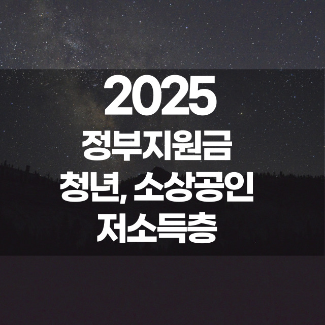 2025년 정부지원금 (소상공인, 청년, 저소득층)