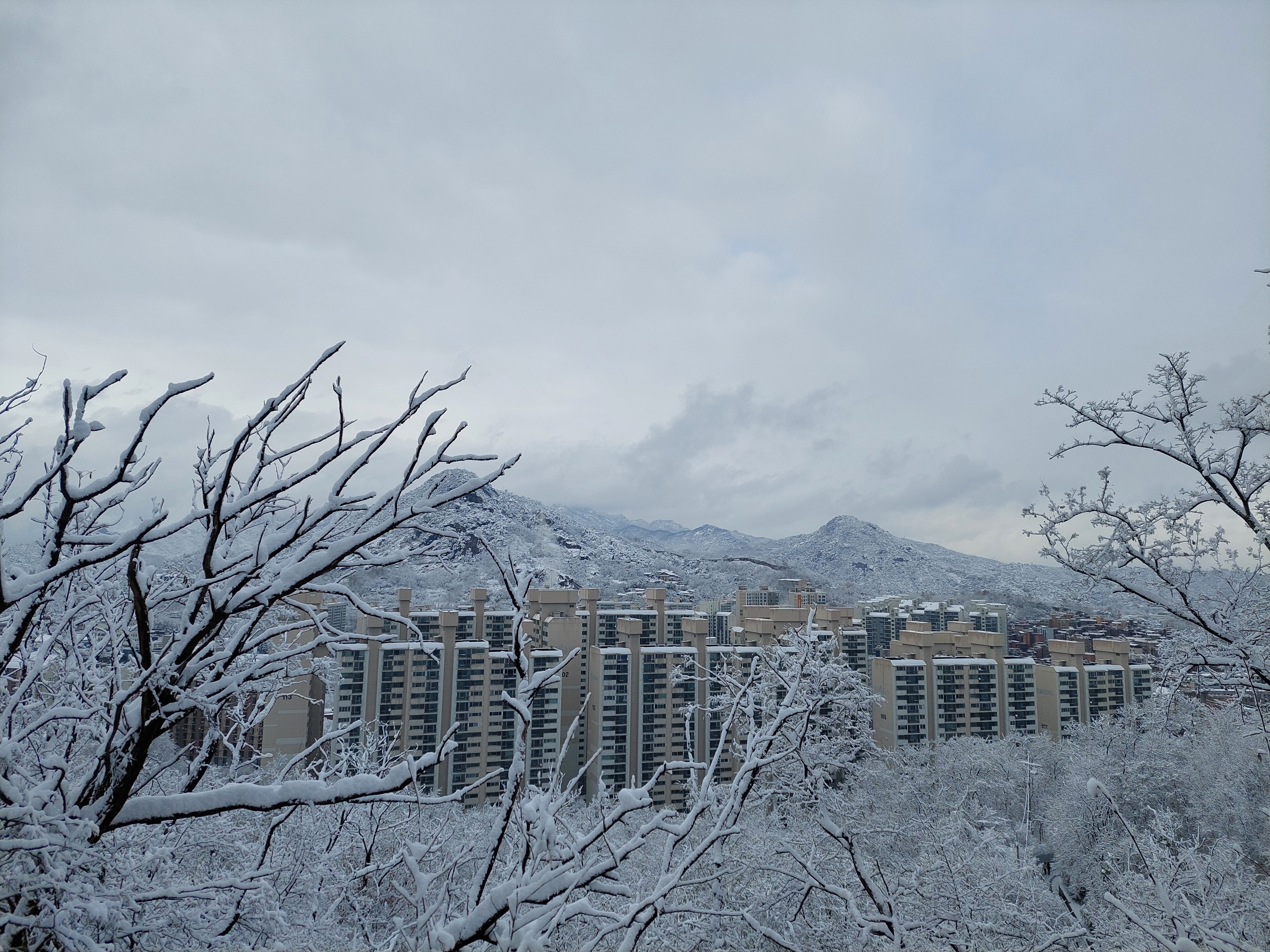 백련산안산