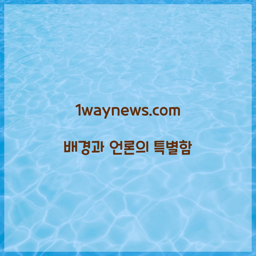 1waynews.com 배경