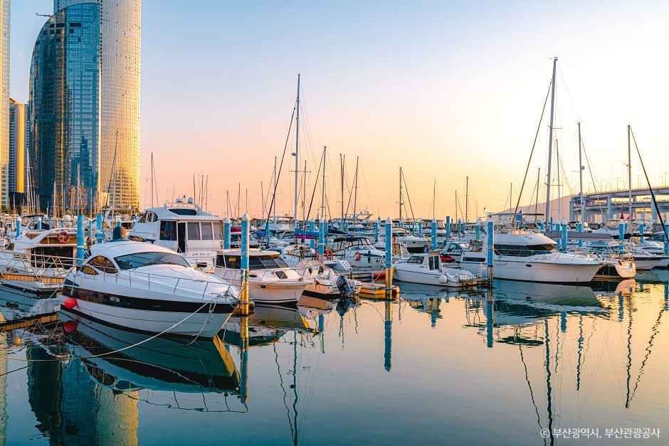 수영만 요트경기장