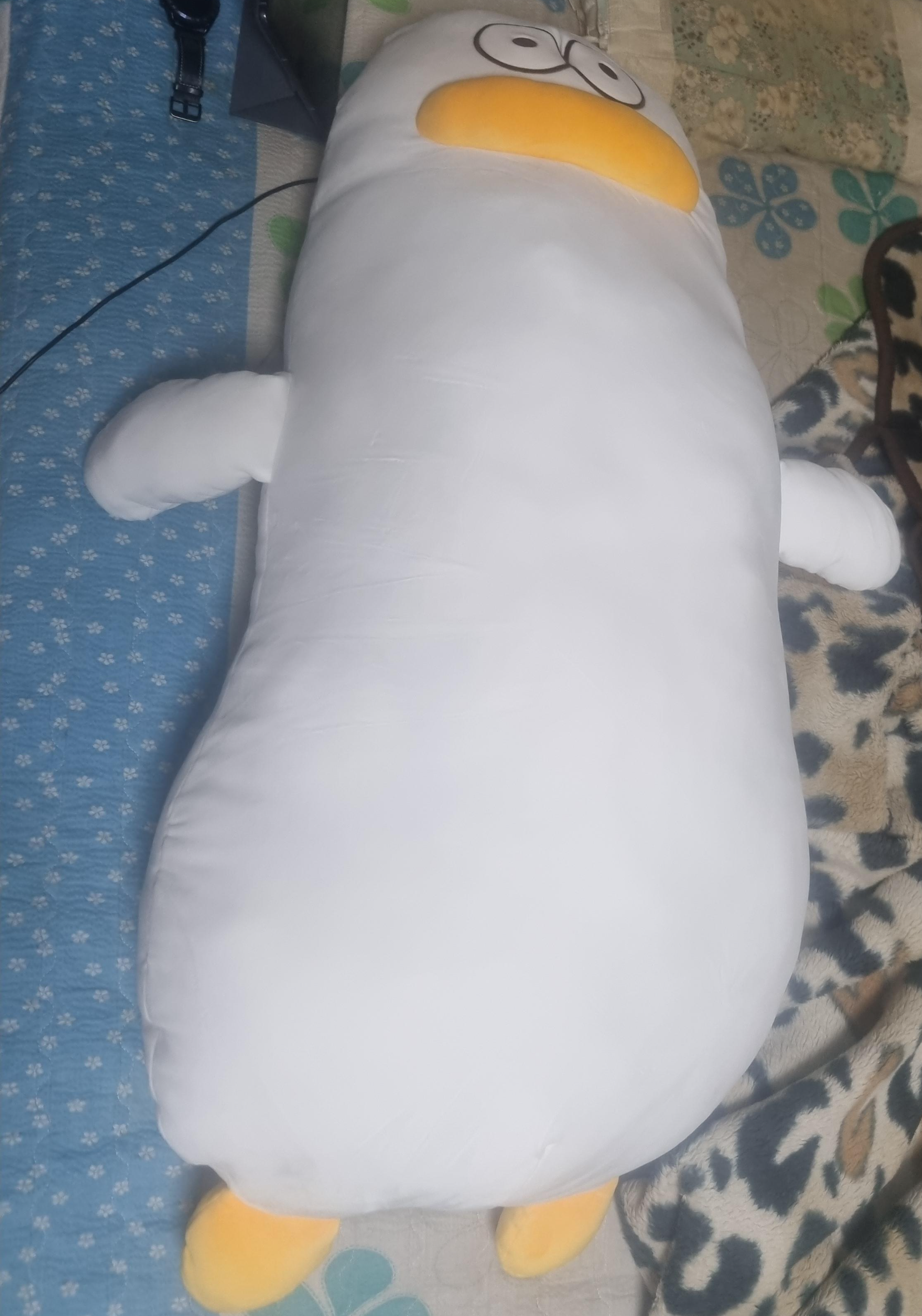 바디필로우
