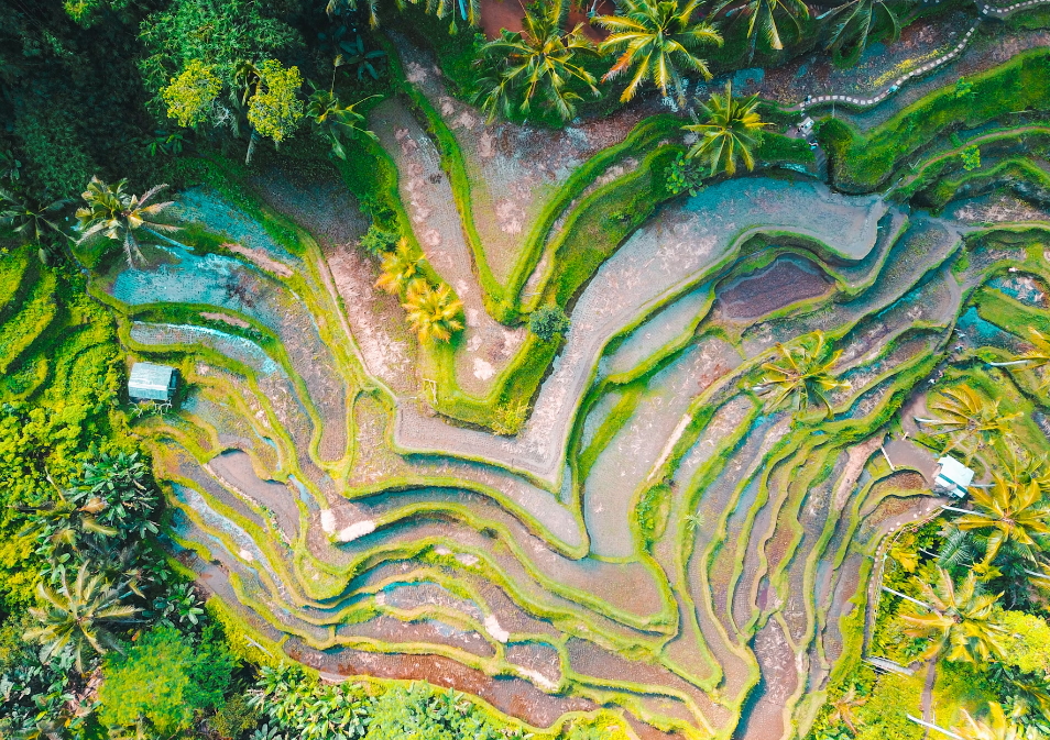 진에어, 노선별 운임,2024 하반기 진MARKET 초특가 할인!
