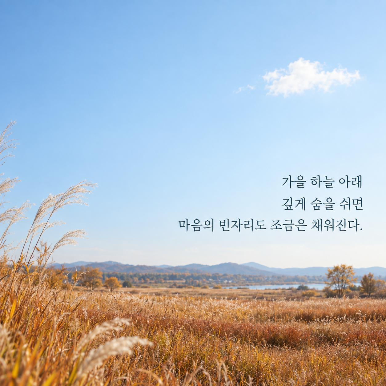 가을 하늘 아래 깊게 숨을 쉬면 마음의 빈자리도 조금은 채워진다