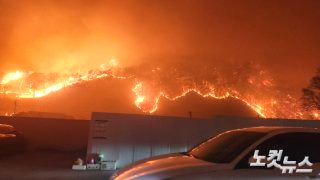 영덕 산불 피해보상 지역 화재 원인 사망자 실종자