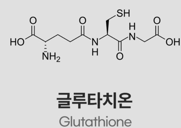 글루타치온 효능